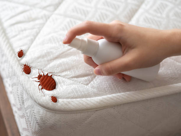 Best Termite Control Services  in Oglala, SD