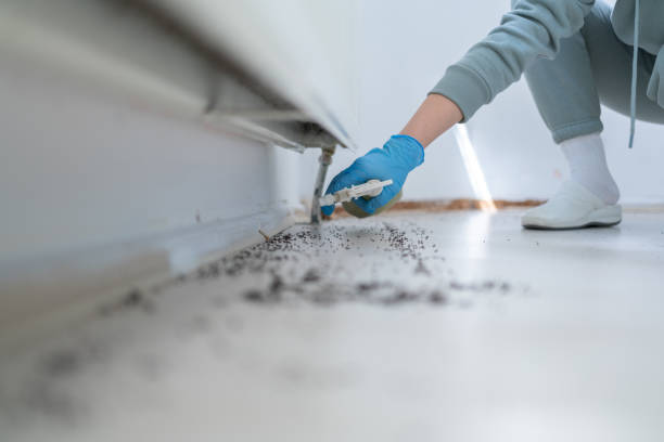 Best Residential Pest Control  in Oglala, SD